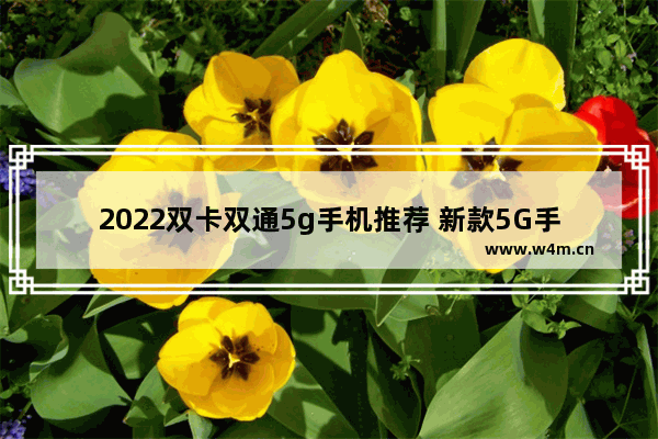 2022双卡双通5g手机推荐 新款5G手机推荐