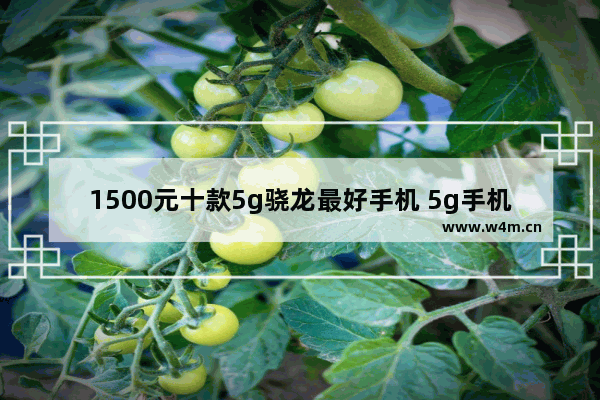 1500元十款5g骁龙最好手机 5g手机推荐排行榜最新款有哪些型号