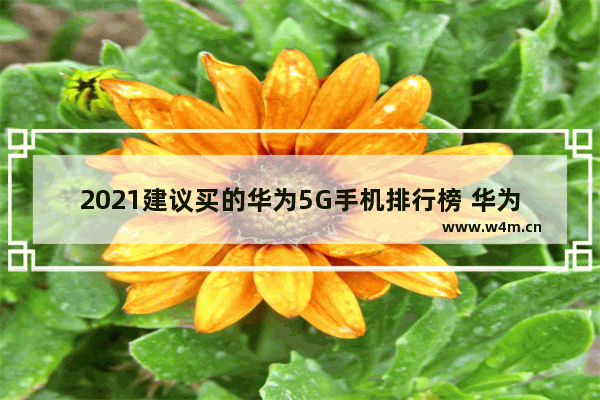 2021建议买的华为5G手机排行榜 华为5g续航超强手机推荐哪款好用