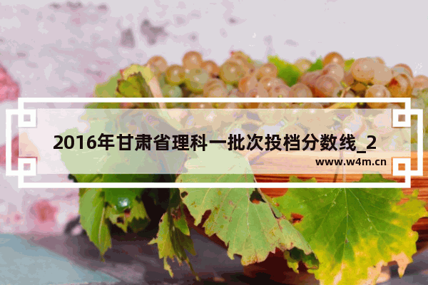 2016年甘肃省理科一批次投档分数线_2016年高考甘肃分数线