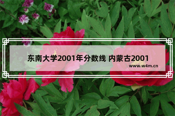 东南大学2001年分数线 内蒙古2001高考分数线