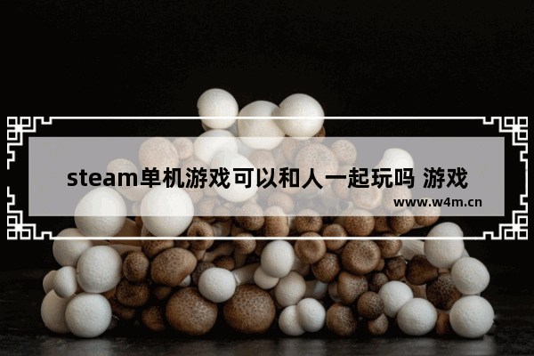 steam单机游戏可以和人一起玩吗 游戏推荐女生可以组队不用登录的游戏