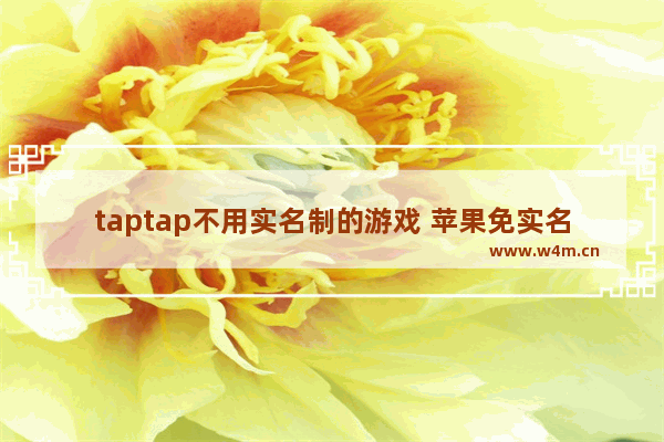 taptap不用实名制的游戏 苹果免实名认证游戏推荐