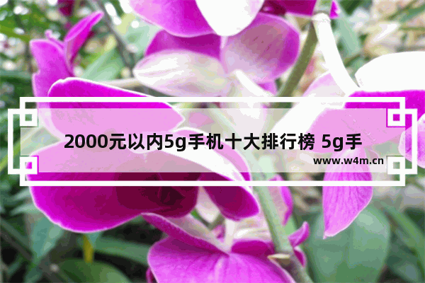 2000元以内5g手机十大排行榜 5g手机推荐排行榜两千内以上