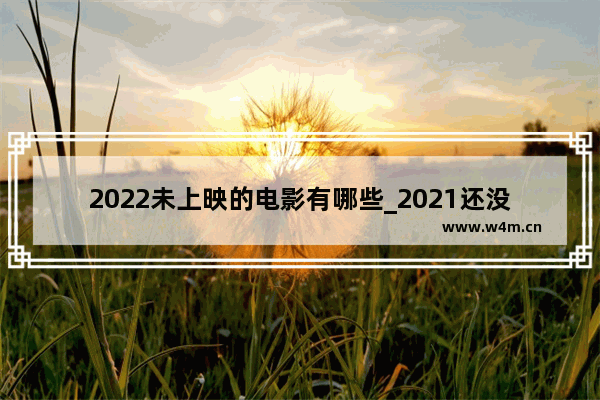 2022未上映的电影有哪些_2021还没上映电影有哪些