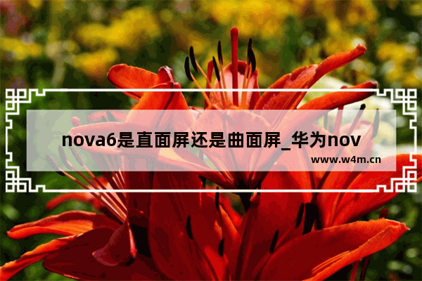 nova6是直面屏还是曲面屏_华为nova8pro有直面屏吗