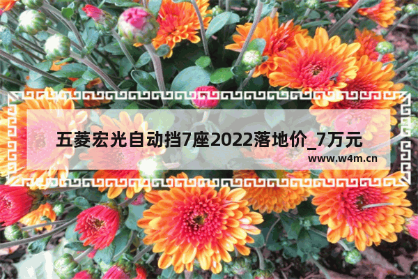 五菱宏光自动挡7座2022落地价_7万元自动挡新车推荐一下