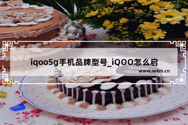 iqoo5g手机品牌型号_iQOO怎么启用5G网络