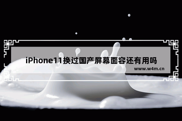 iPhone11换过国产屏幕面容还有用吗 国产好用手机推荐一下苹果