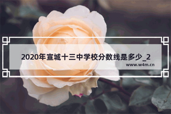 2020年宣城十三中学校分数线是多少_2013年四川高考总分