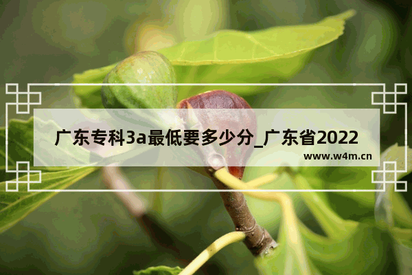 广东专科3a最低要多少分_广东省2022技能补贴最新规定