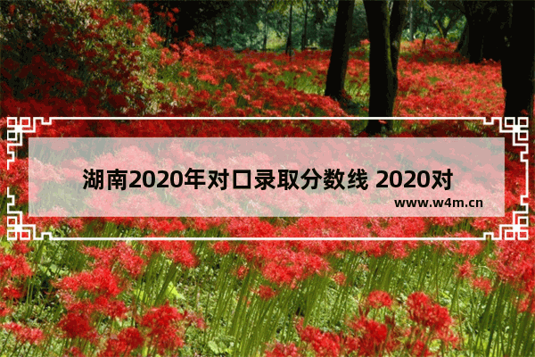 湖南2020年对口录取分数线 2020对着高考分数线