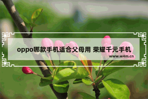 oppo哪款手机适合父母用 荣耀千元手机推荐父母用哪款比较好