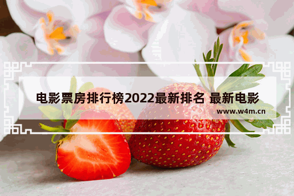 电影票房排行榜2022最新排名 最新电影排行有哪些名字和电影有关