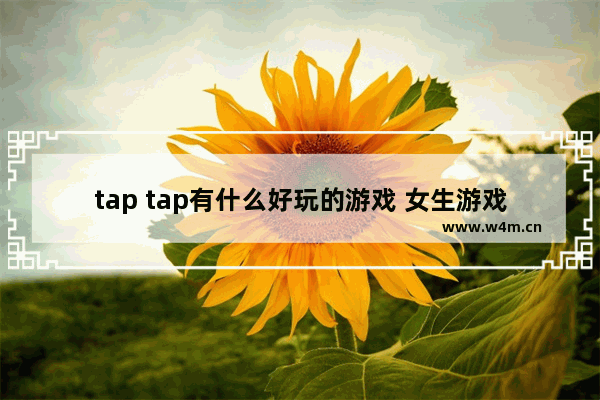 tap tap有什么好玩的游戏 女生游戏推荐小众经营