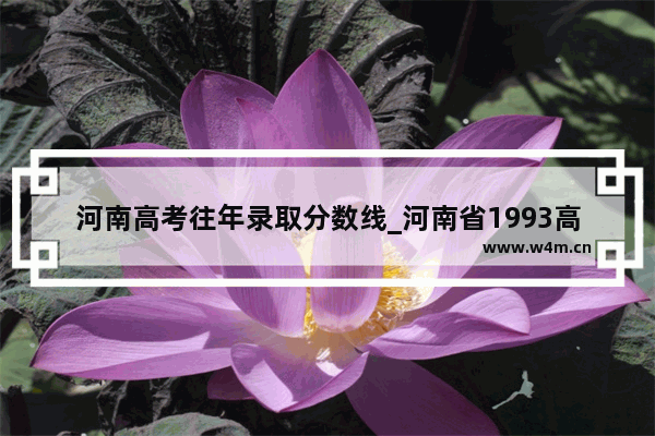 河南高考往年录取分数线_河南省1993高考分数线