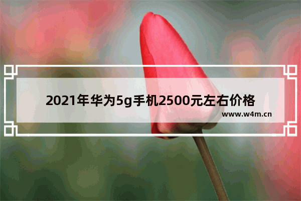 2021年华为5g手机2500元左右价格的哪款手机好 华为5g手机推荐哪个好用点