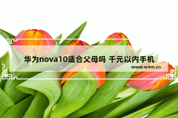 华为nova10适合父母吗 千元以内手机推荐父母用华为吗