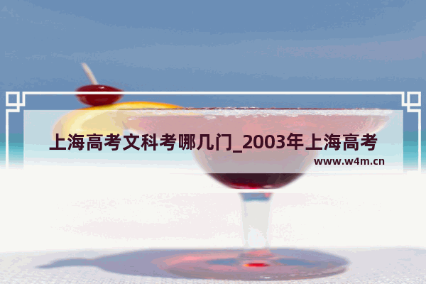 上海高考文科考哪几门_2003年上海高考分数线