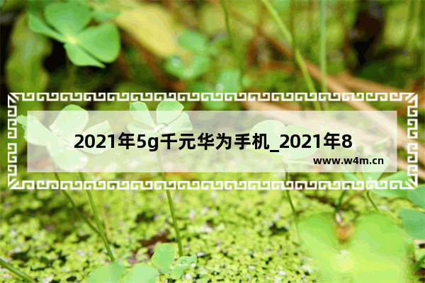 2021年5g千元华为手机_2021年8月华为5g刚上市的手机2599元