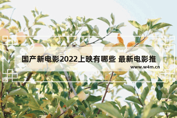 国产新电影2022上映有哪些 最新电影推荐已上映国内电影有哪些呢