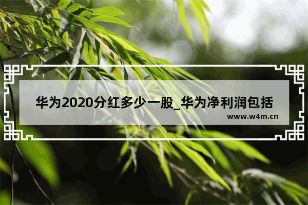 华为2020分红多少一股_华为净利润包括分红吗