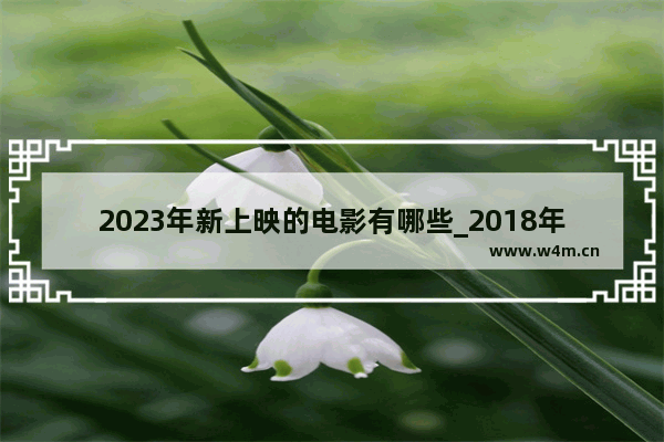 2023年新上映的电影有哪些_2018年上映的电影名单中国