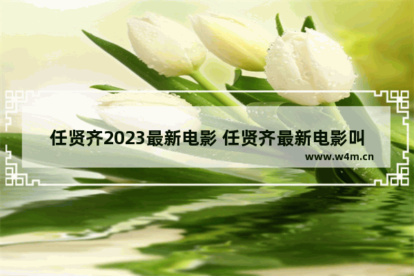 任贤齐2023最新电影 任贤齐最新电影叫什么名字