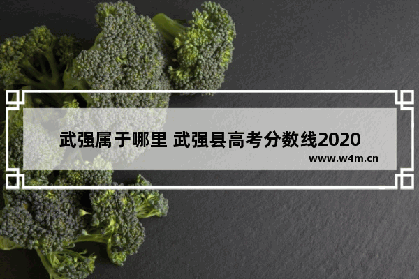 武强属于哪里 武强县高考分数线2020