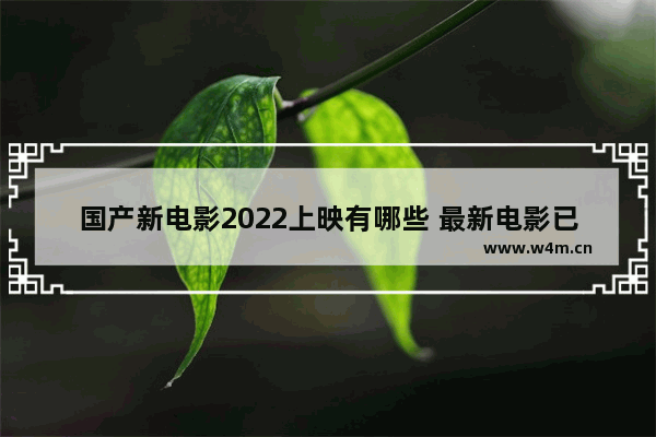 国产新电影2022上映有哪些 最新电影已上映国内推荐电影