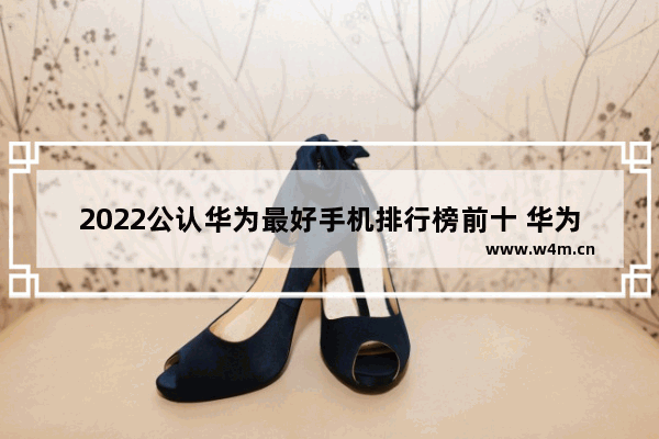 2022公认华为最好手机排行榜前十 华为5g手机推荐哪个型号好一点