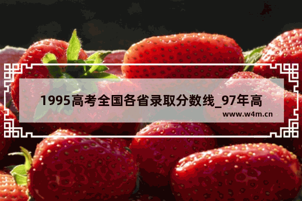 1995高考全国各省录取分数线_97年高考录取分数线