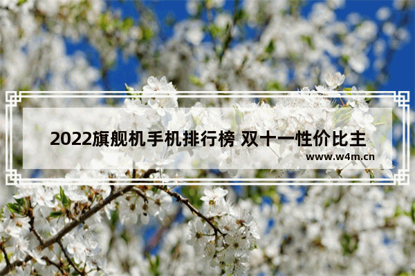 2022旗舰机手机排行榜 双十一性价比主流旗舰手机推荐