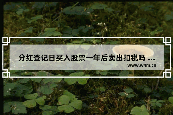 分红登记日买入股票一年后卖出扣税吗 股票分红后当天卖当天买回要扣税吗