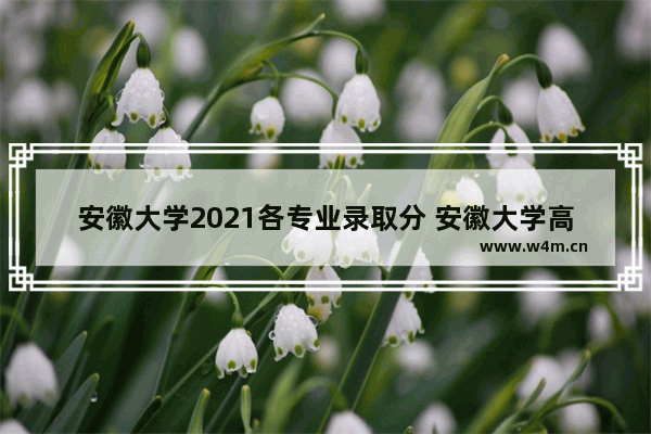 安徽大学2021各专业录取分 安徽大学高考分数线公布