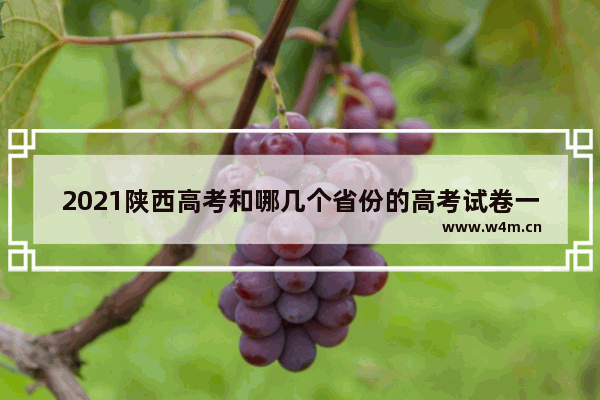 2021陕西高考和哪几个省份的高考试卷一样_1994年高考590分算高分吗