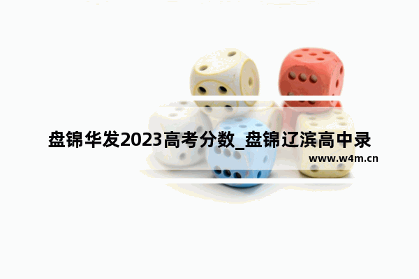 盘锦华发2023高考分数_盘锦辽滨高中录取分数线