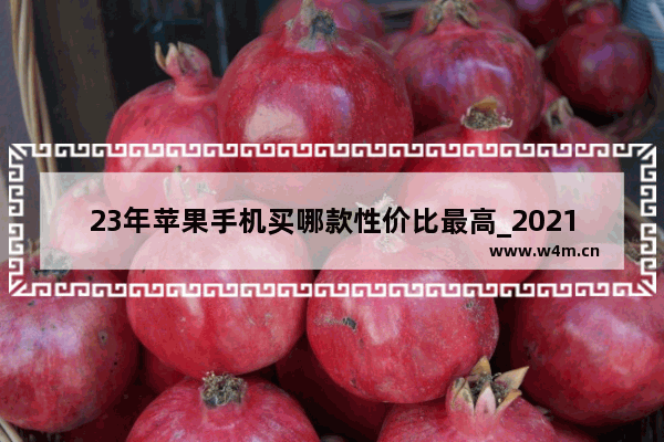 23年苹果手机买哪款性价比最高_2021年苹果系列哪个性价比高