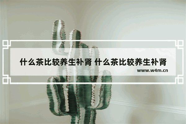 什么茶比较养生补肾 什么茶比较养生补肾