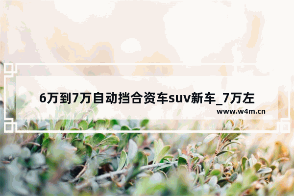 6万到7万自动挡合资车suv新车_7万左右自动挡合资车