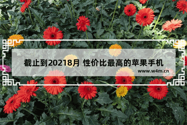 截止到20218月 性价比最高的苹果手机有哪些型号。_华为手机排行榜前十名2021