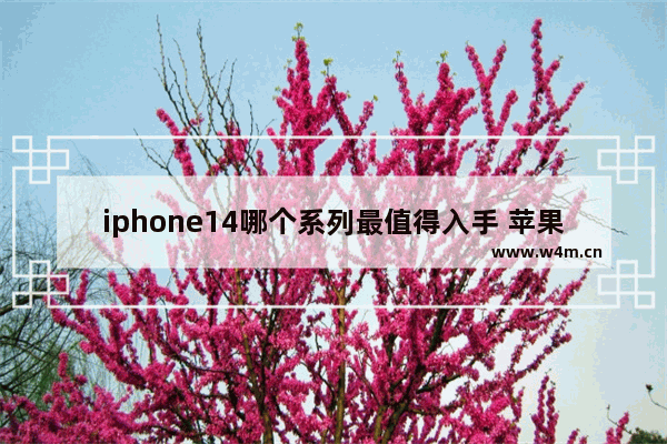 iphone14哪个系列最值得入手 苹果手机推荐性价比排行榜前十名有哪些