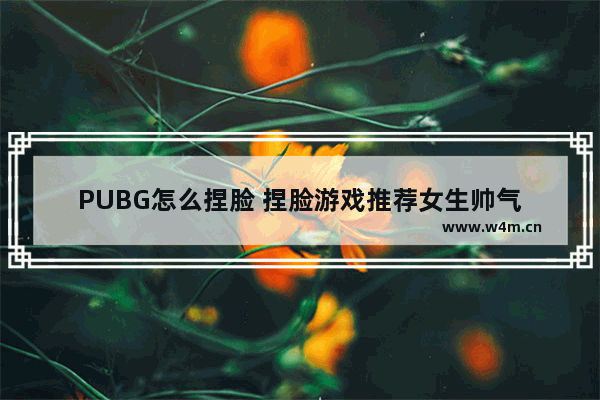 PUBG怎么捏脸 捏脸游戏推荐女生帅气