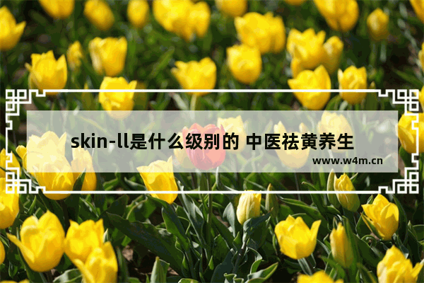 skin-ll是什么级别的 中医祛黄养生茶有哪些品牌