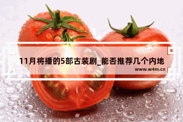 11月将播的5部古装剧_能否推荐几个内地破案纪实的电视剧电影