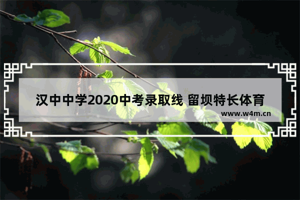 汉中中学2020中考录取线 留坝特长体育生高考分数线