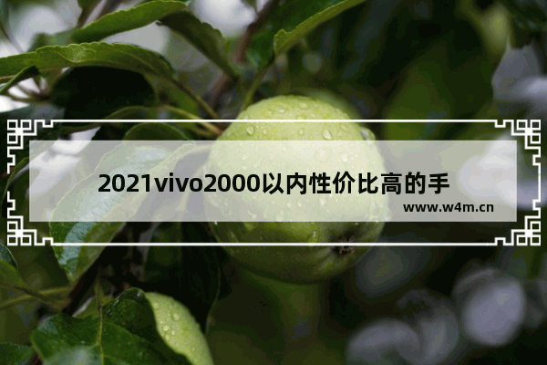 2021vivo2000以内性价比高的手机 2千块钱手机推荐哪款好用