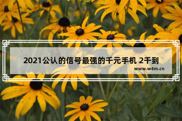 2021公认的信号最强的千元手机 2千到3千手机推荐最新