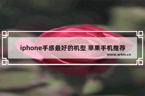 iphone手感最好的机型 苹果手机推荐哪一款性价比高点