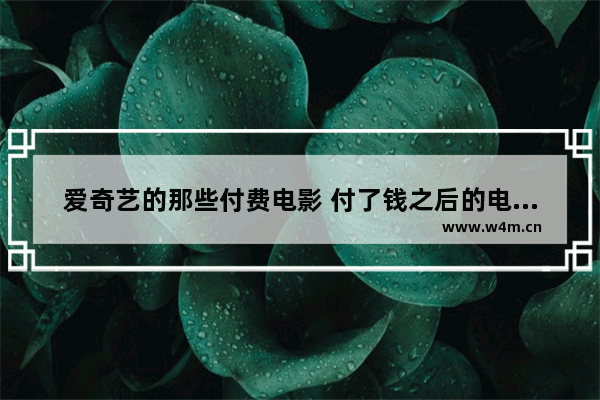 爱奇艺的那些付费电影 付了钱之后的电影是一直都可以看还是有时间限制啊_月光影院播放器安全吗